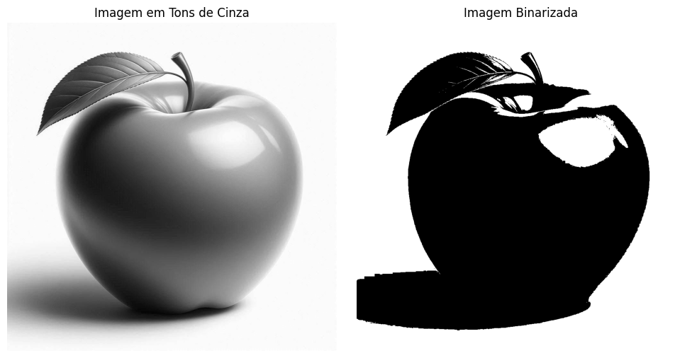 Segmentação