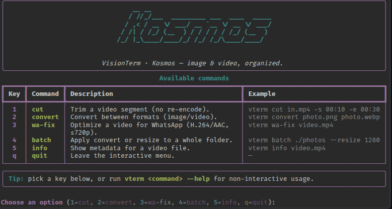 vtkosmos screenshot